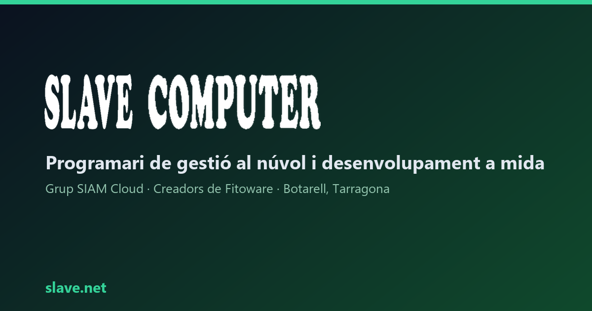 Slave Computer — Software de gestión y desarrollo a medida